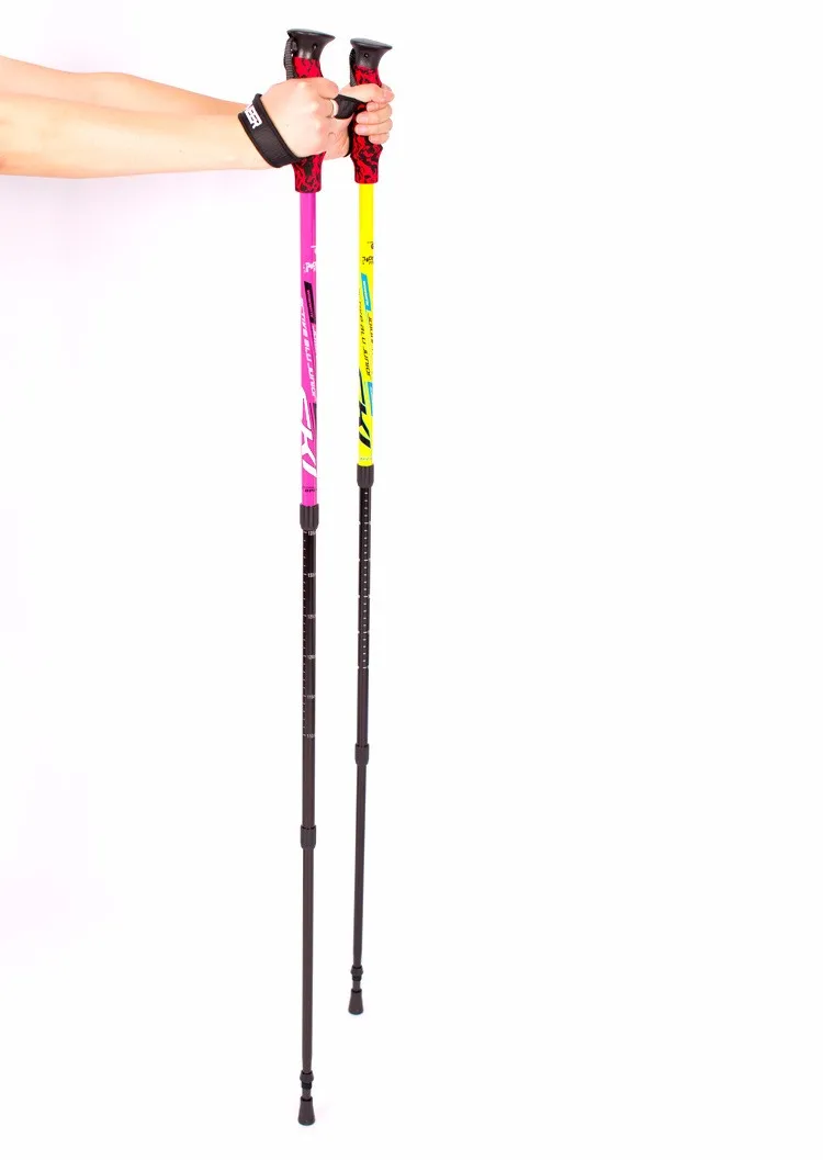 1632483527_766801191