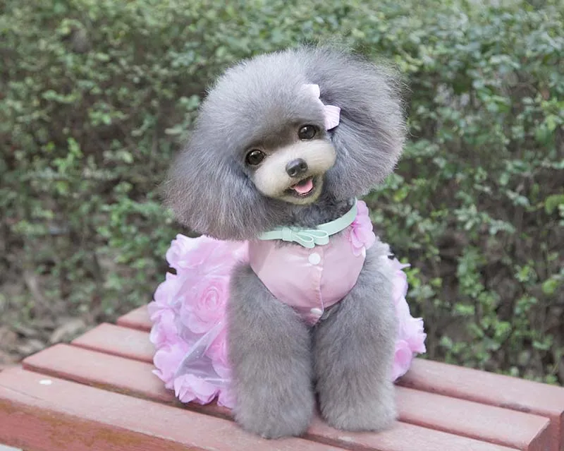 SYDZSW Dog Tutu Dress Pet Clothing for Small Dogs Cats Luxury Pearl Bowknot Puppy Dog Princess Dress Chihuahua Costume Wholesale9