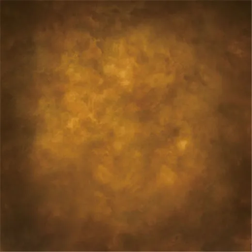 10x10FT Dark Brown Color Wall Custom Photography Backdrops Studio