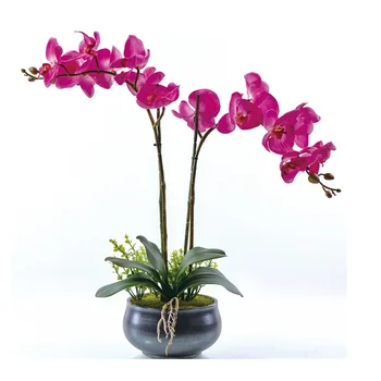 

INDIGO Phalaenopsis Orchid Real Touch Flower White Artificial Flower Wedding Flower Orchid Floral Christmas Party Free Shipping