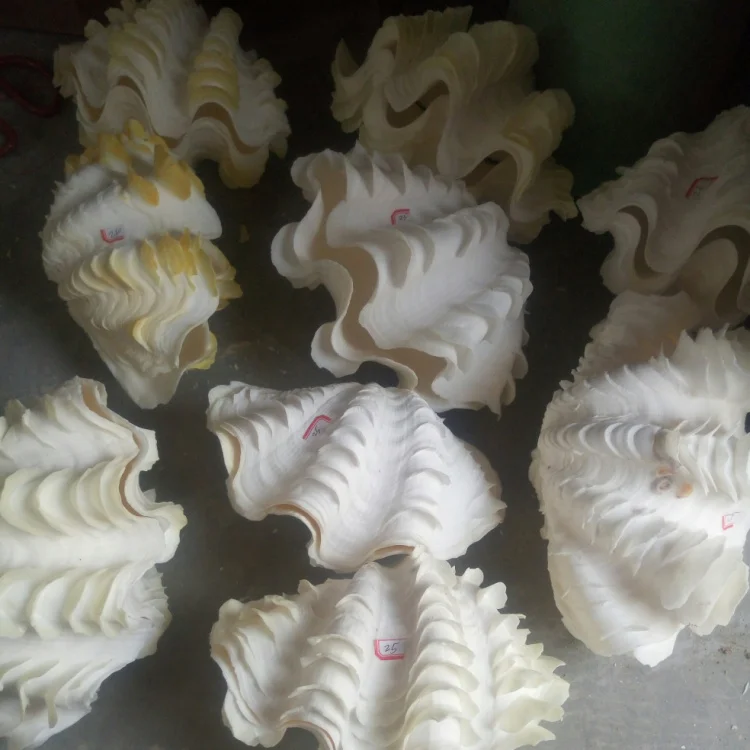 casamento decoração ornamentos conchas mar artesanato natural