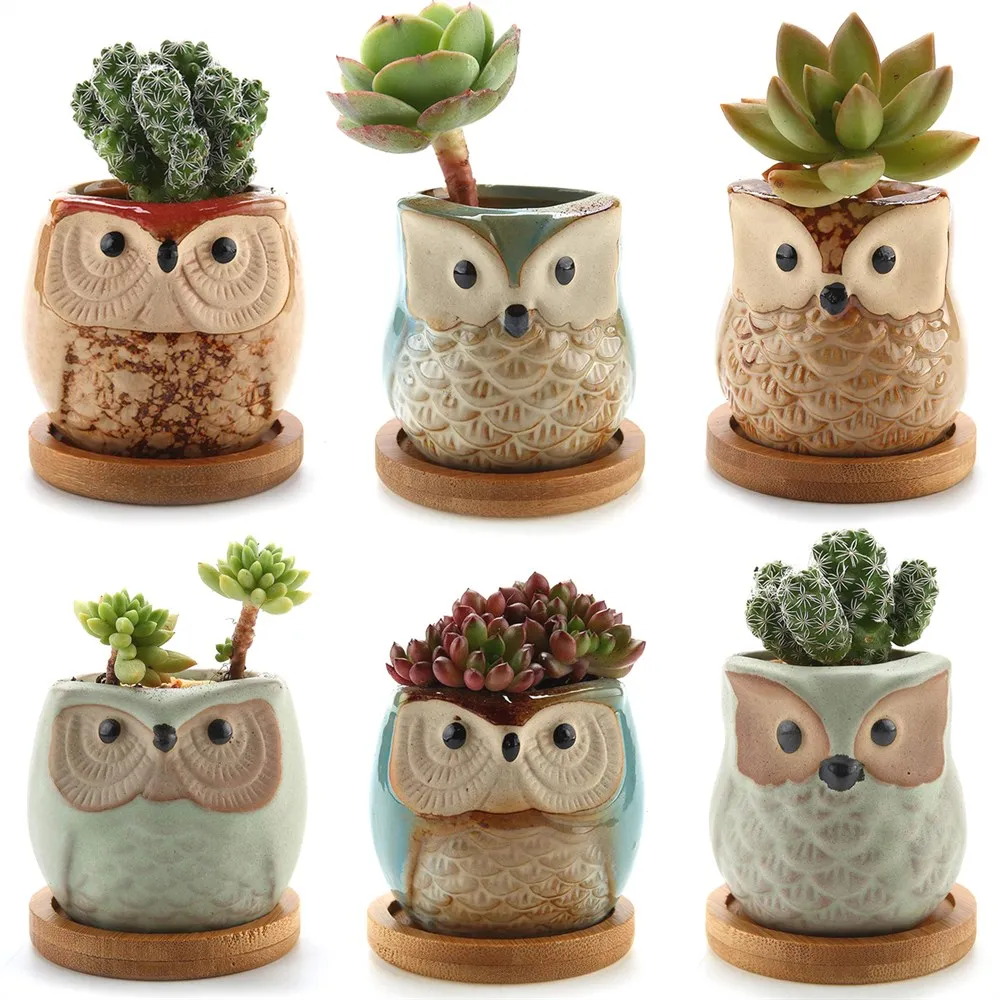 Ceramic Succulent Planter Pots with Bamboo Saucers Mini Cute Owl Bonsai Home Decoration Desktop Windowsill Gift Set of 6 | Дом и сад