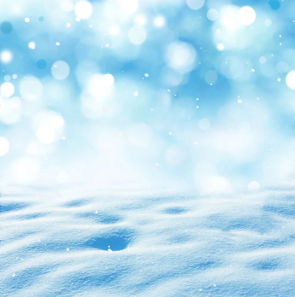 

SHENGYONGBAO 10x10ft Snow Vinyl Backdrops Props for Photography Photo Studio Background TSN-18