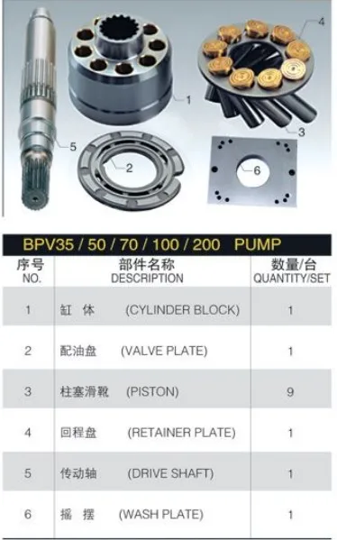 BPV100R