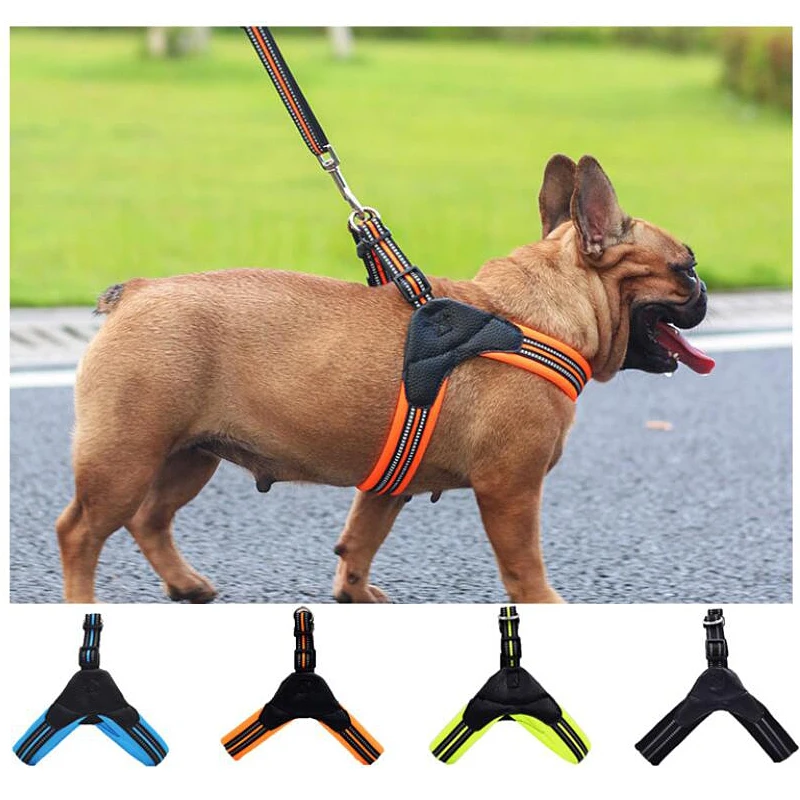 easy to use dog harness