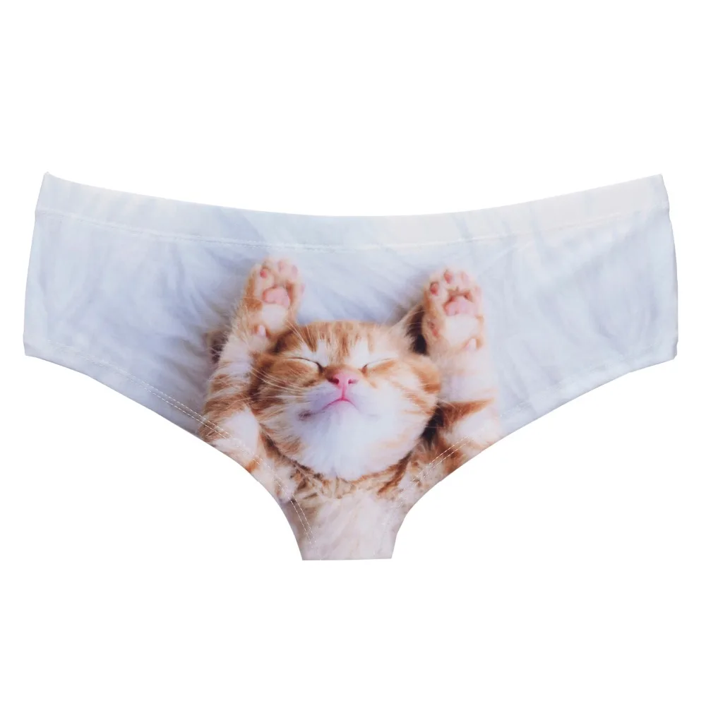 41091 im cute kitty (4)
