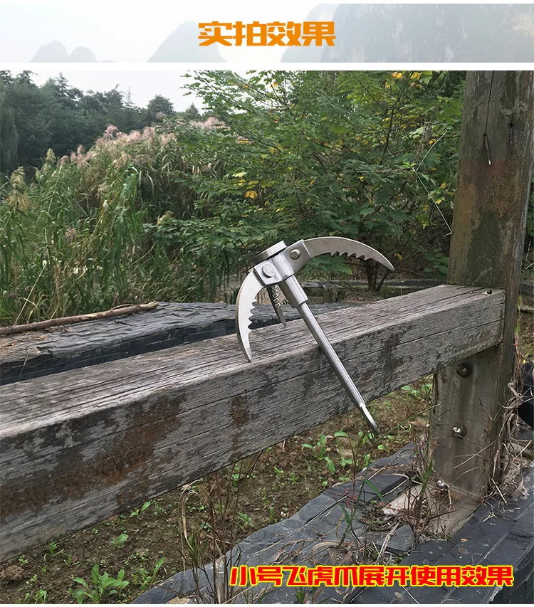 3553246519_2102329459