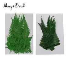 22 шт. Зеленый Натуральный пресс папоротник листья прессованный высушенный цветы сухие листья для поделок художественные закладки Скрапбукинг изготовление карт