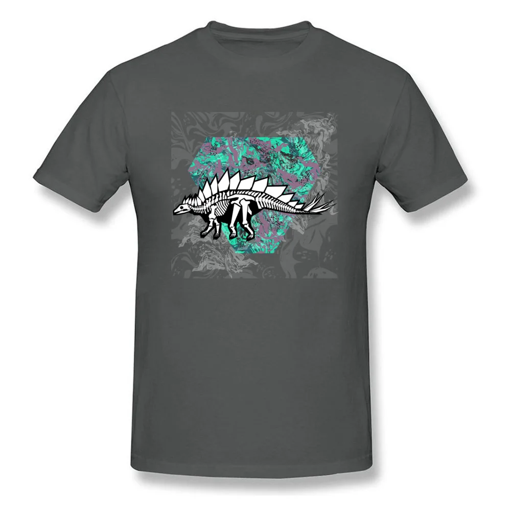 Stegosaurus Fossil_carbon