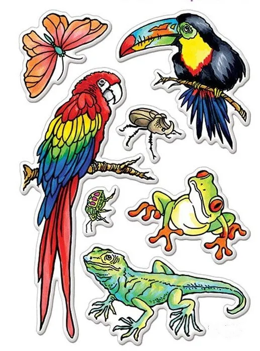 

Animal Parrot Transparent Clear Stamp for DIY scrapbooking seal Card Making C293