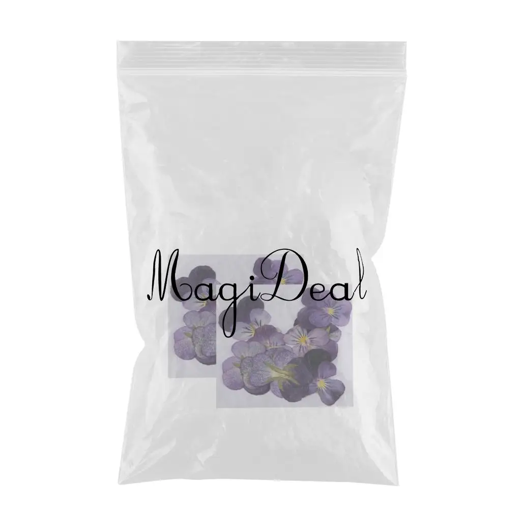 24 Pcs Violet Natural Real Dried Flowers For DIY Crafts Scrapbooking Nail Art Jewelry Making Resin Casting  DIY Necklace Pendant