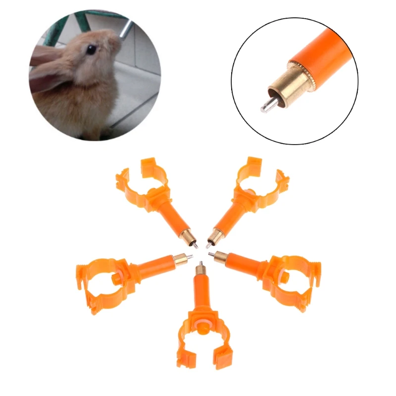 9.5x4cm 5 Pcs Rabbit Chicken Quail Birds And Other Animals Copper