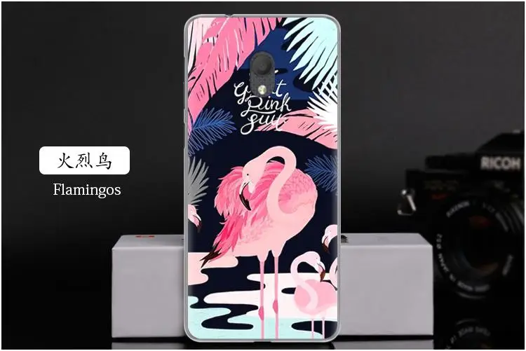 火烈鸟 Flamingos