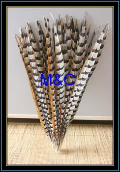 

EMS Free Shipping 100pcs reeves' pheasant tail feather 80-90cm Pheasant tail feather for Performance