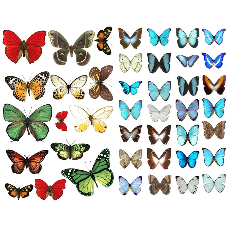 

1 PCS Insect Succulent Plant Decoration Precut Anti-UV Waterproof Bullet Journal Stickers Scrapbooking Diary Sticky Paper Flakes
