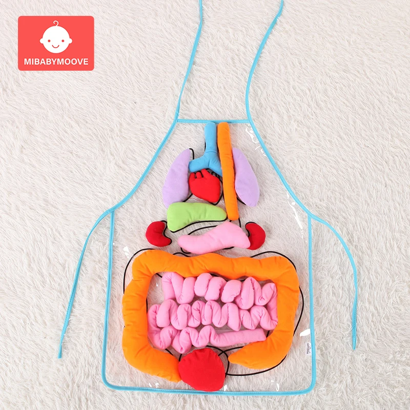 

Children Educational Toys Apron Simulation Human Body Organs Diagram Creative Apron Kindergarten Teaching Kids Educational Toys