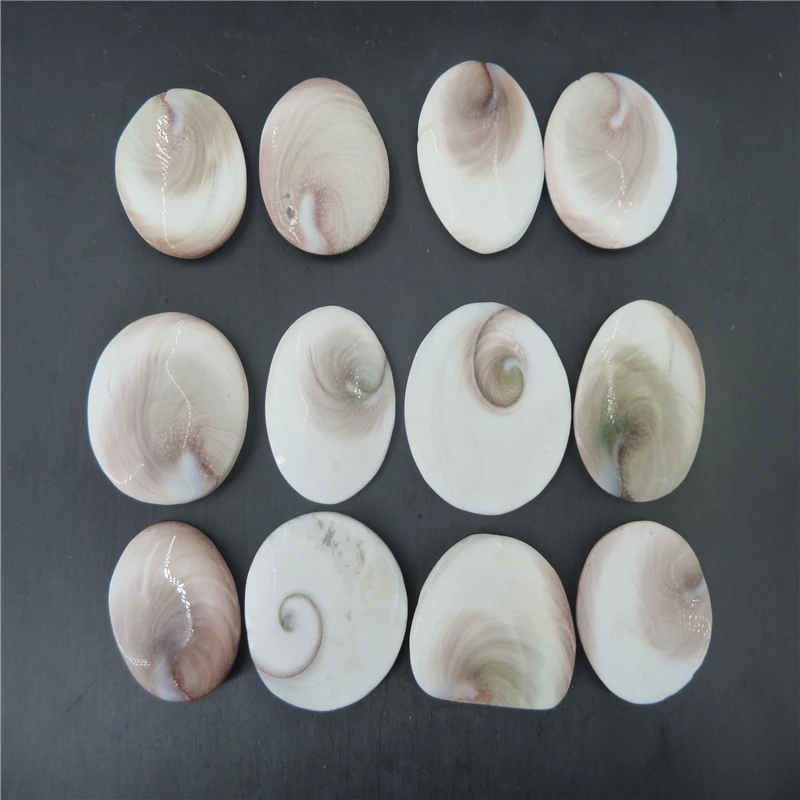 

12pcs natural shell fossil crystal sculpture Aquarium decoration T1022