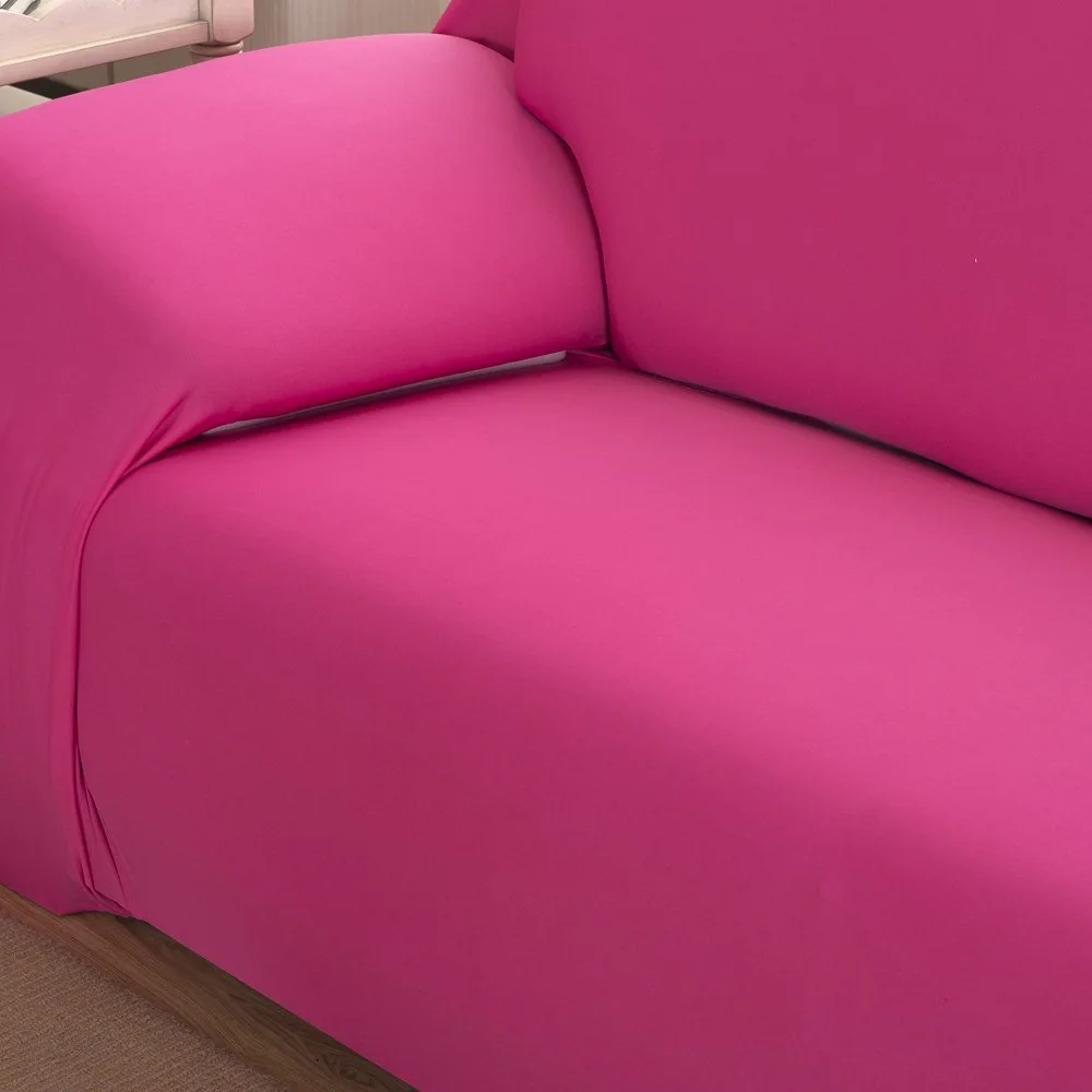 WFG_7311