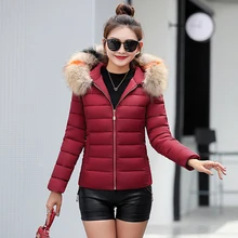 Winter jacket women 2019 new Korean version of the slim down cotton pad short large fur collar winter large size coat winter цена Winter jacket women 2019 new Korean version of the slim down cotton pad short large fur collar winter large size coat winter цены онлайн