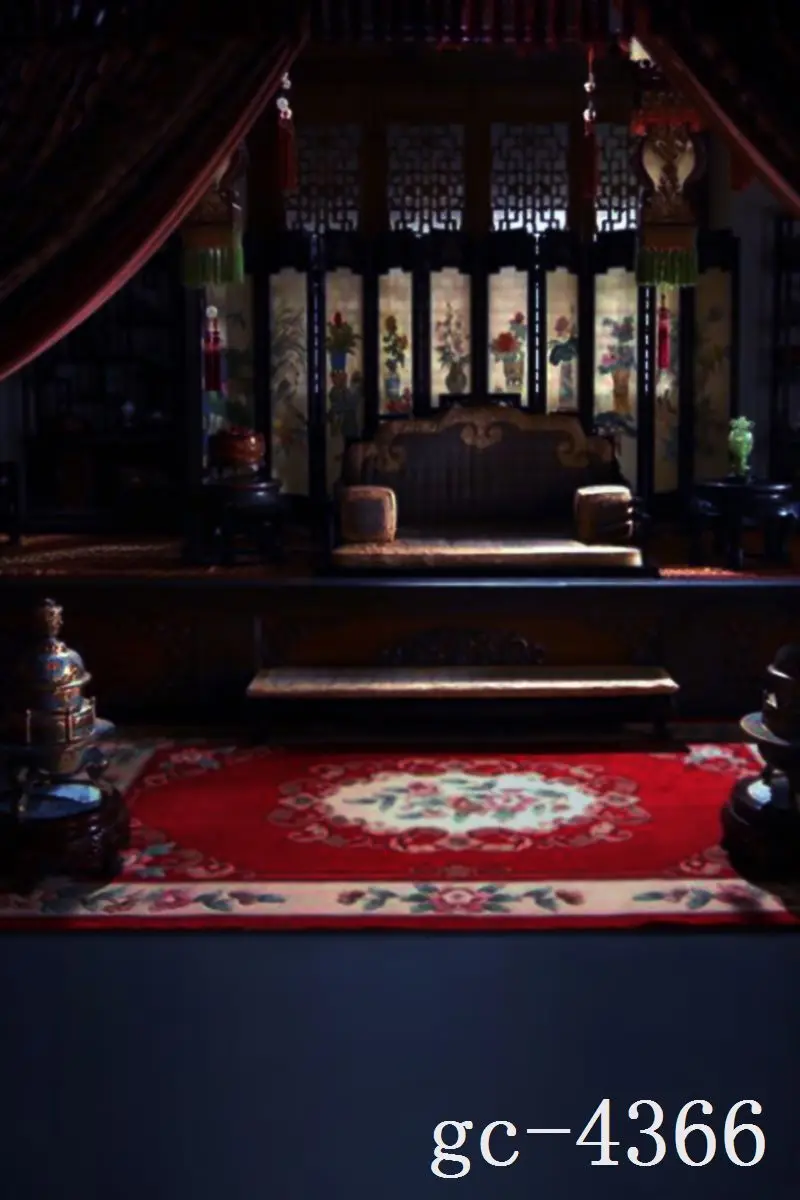 

3*5M Art Cloth Custom Photography Backdrops Prop Indoor theme Studio Background GC-4366