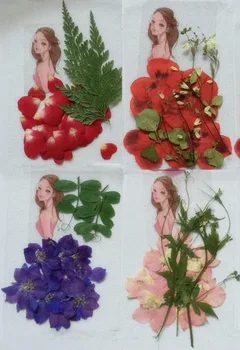 

Pressed Dried Leaf Leaves+Flowers+Sticker Pretty Girl Skirt Dress For Phone Case Postcard Scrapbook Craft DIY Accessories