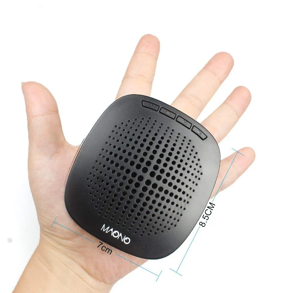 Voice amplifier 04