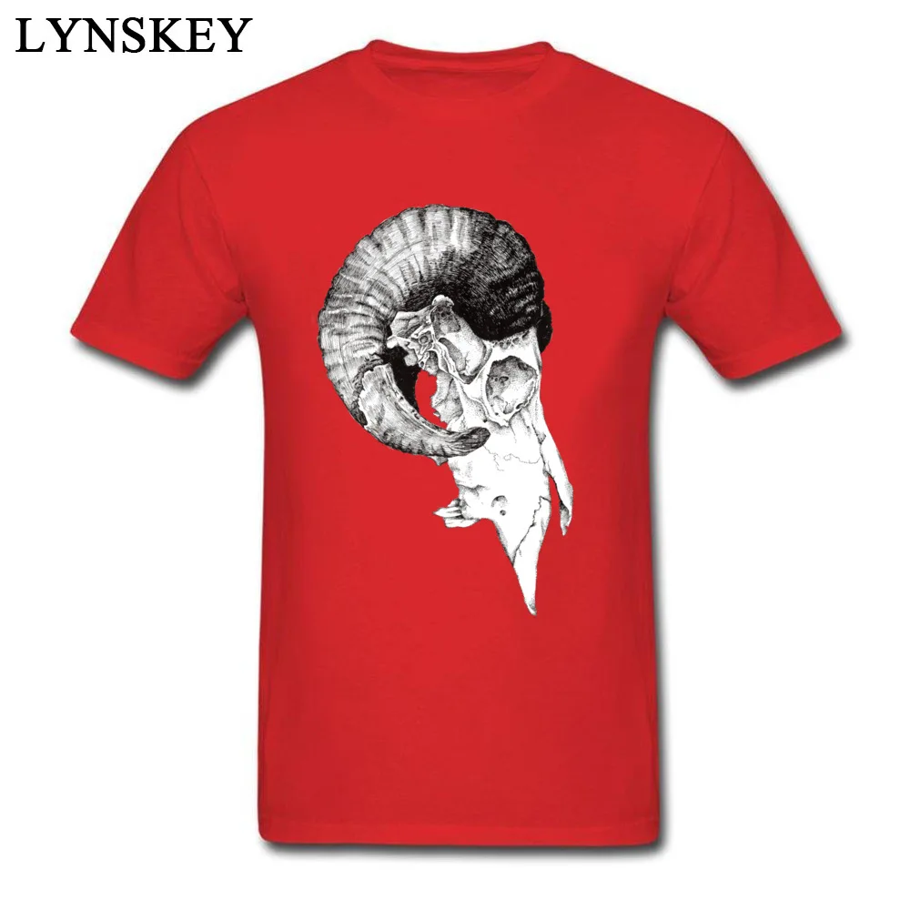 Ram Skull study_red