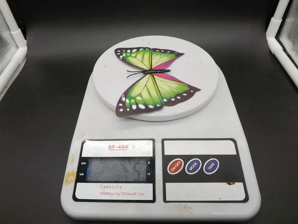 I238-Butterfly (14)