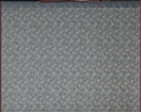# S029 Lótus Pintura de Seda de