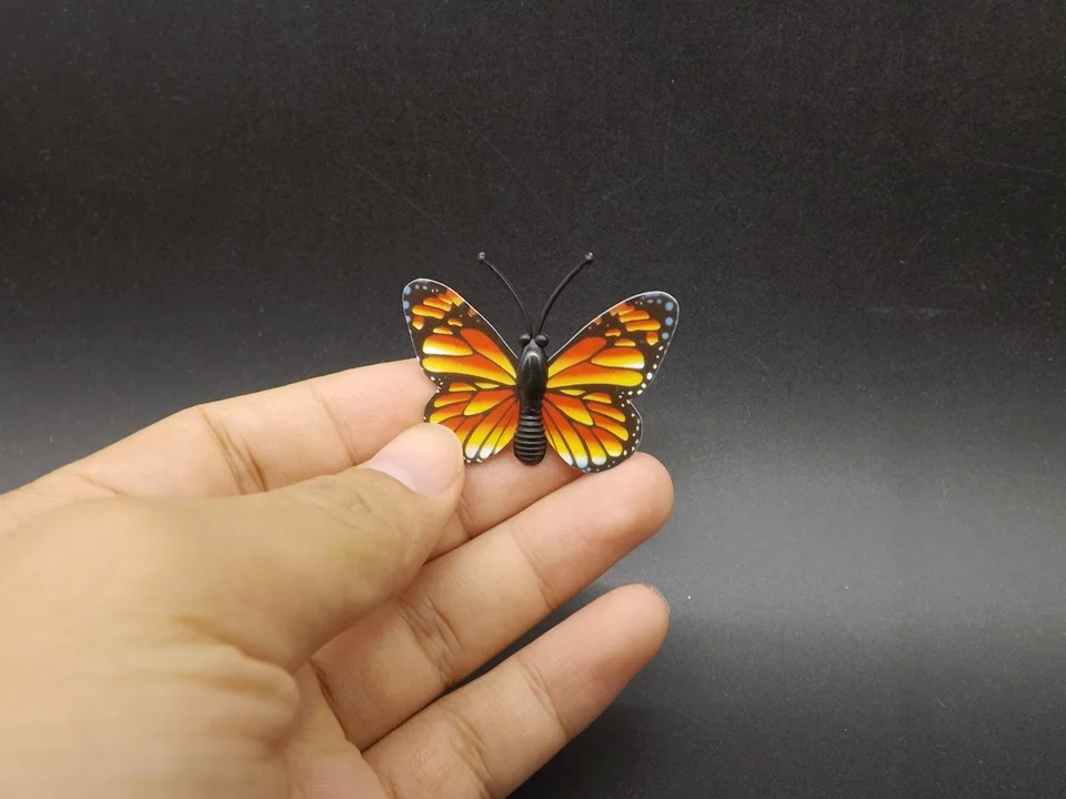 I258-Butterfly (1)