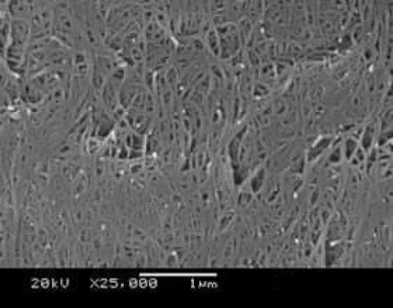 COOH функциональные одностенные углеродные нанотрубки DSST-90-1.5-17-COOH