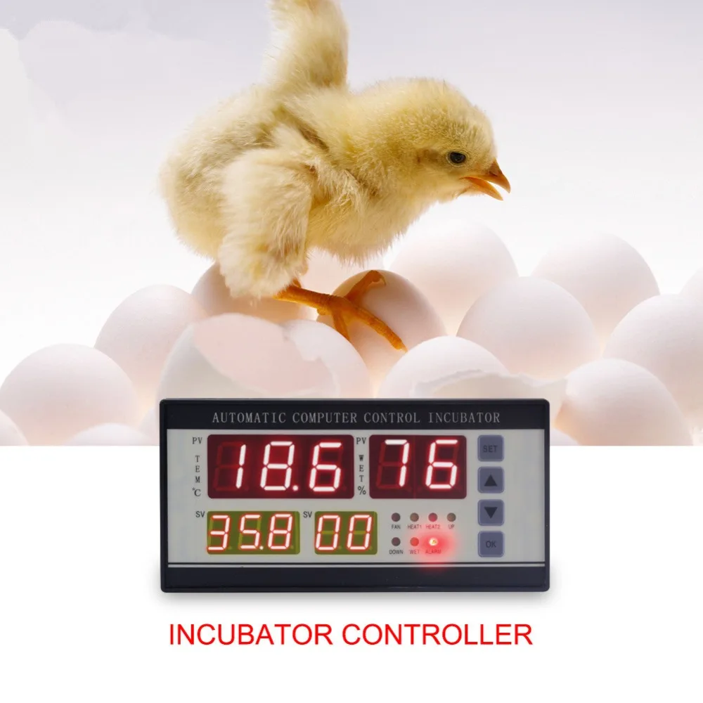 9696161136_486564212_