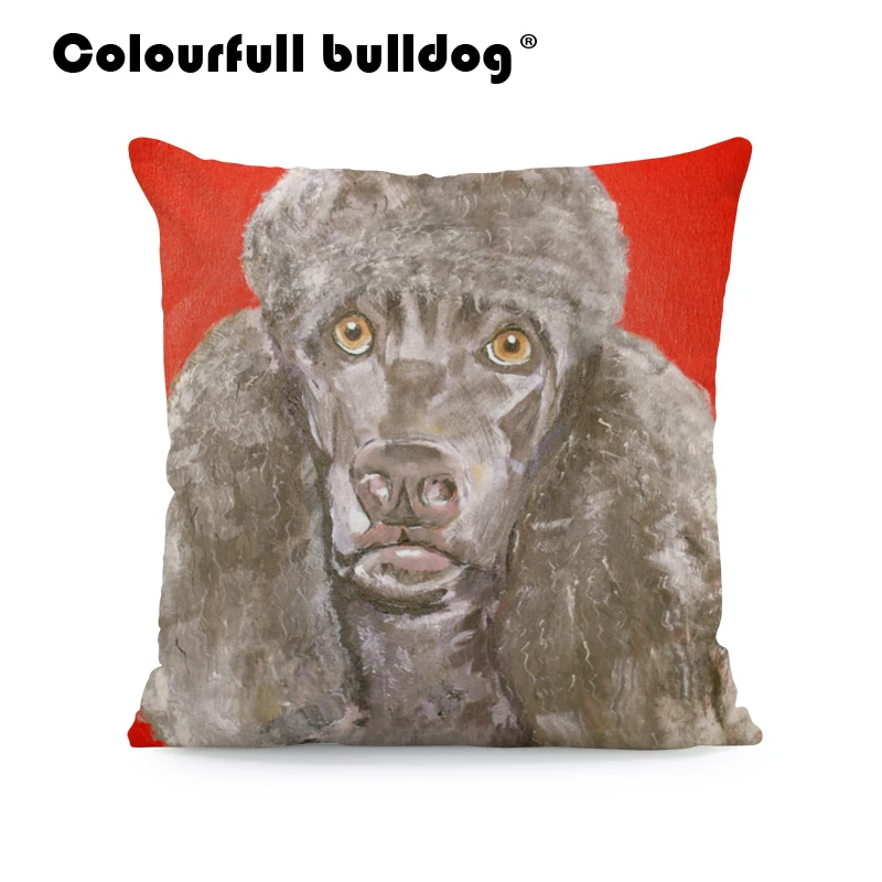 AB9166 (2) Irish Water Spaniel