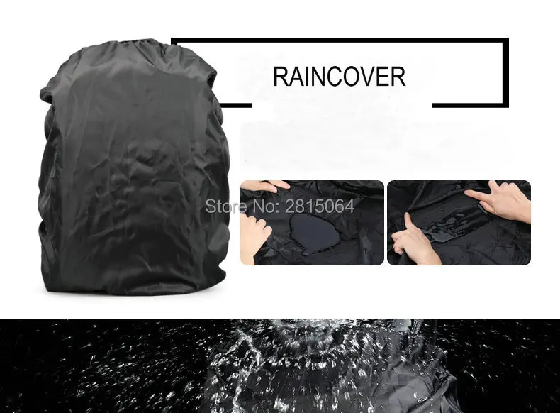 3598138773_1611564951