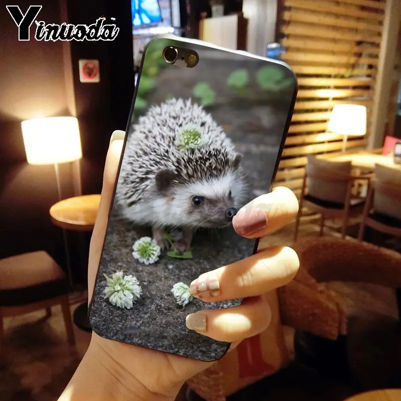Hedgehog ride a bike Cute in Teacup Animal Art