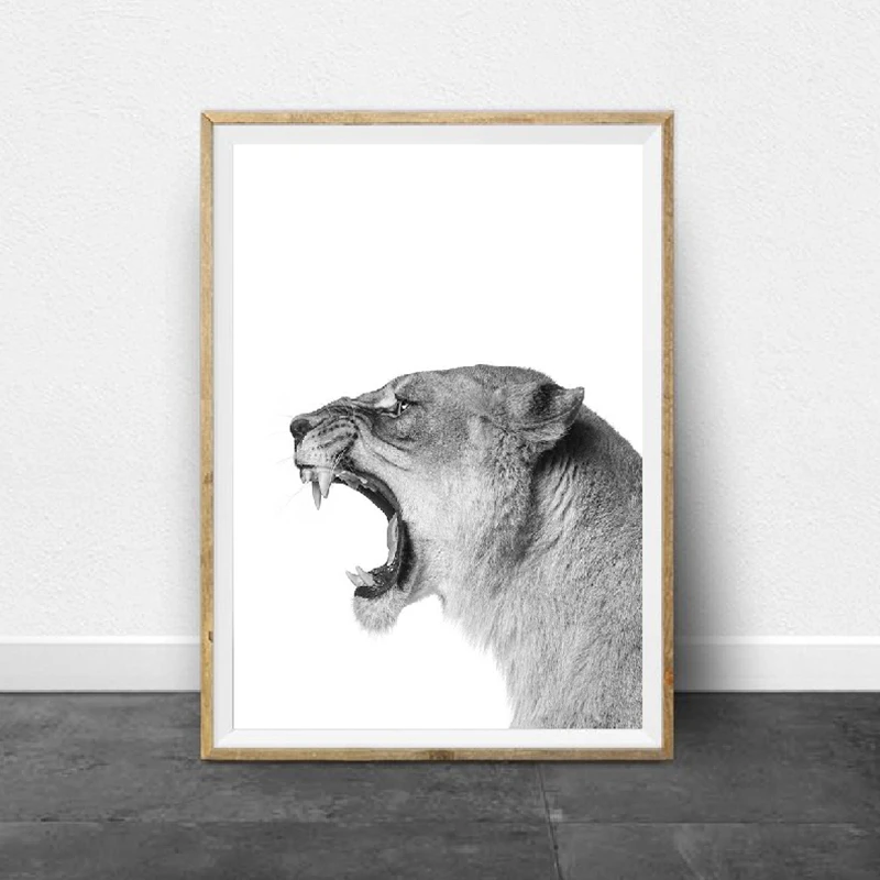 Lion Roar Wall Art Prints