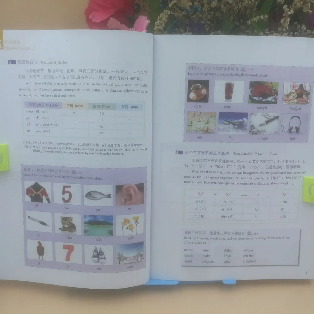 Стандартный hsk 1 учебник китайский учебник для обучения иностранному китайскому языку Обучающие учебники