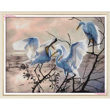 Joy Sunday Three egrets китайские наборы для вышивки крестом экологический хлопок прозрачный 11CT печатные DIY Свадебные украшения для дома