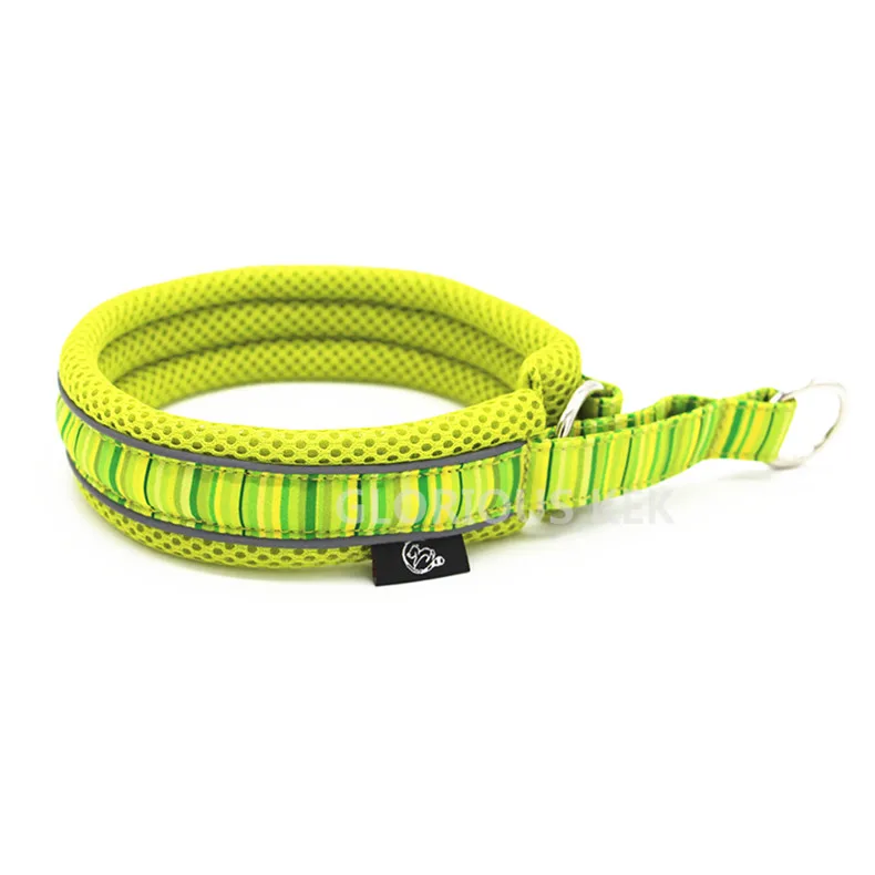 Dog Collars (8)