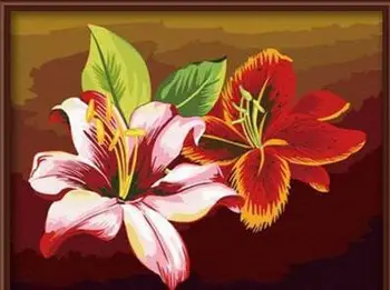

MaHuaf-Z007 pink and red lily coloring by numbers 40x50cm Framed Acrylic wall picture for the living room
