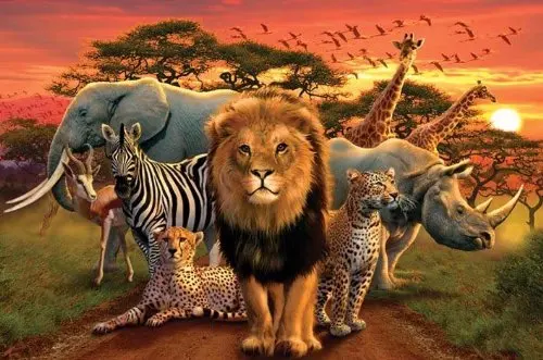 Online Whole Animal Kingdom Poster From China Hotel View Hotels London United Kingdom Decor Idea Stunning Amazing Simple At