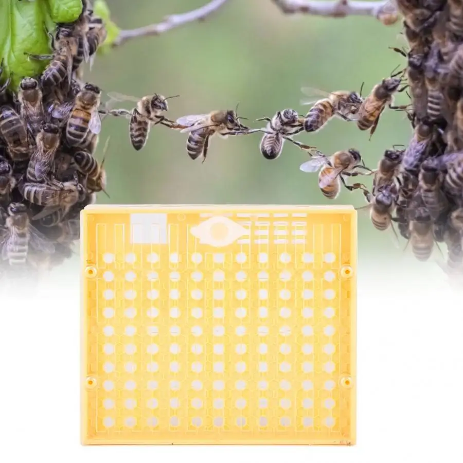 Коробка для вязки 121 шт/131 шт Пчеловодство Rearing комплект чашек королева пчелиные Клетки Оборудование для пчеловодов пчелы