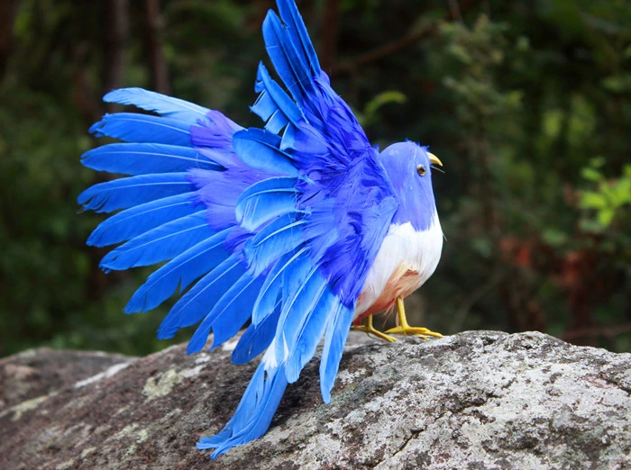 美しい鳥のデザイン 新しいコレクション スケール22cm 1140 Gift Gift Gifts Aliexpress