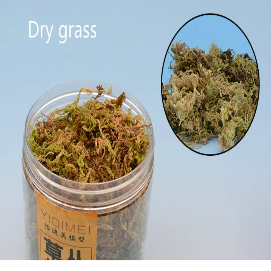 new grass model (16)