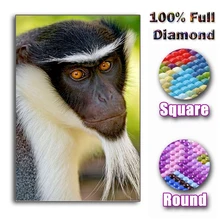 

Full Square/Round Drill 5D DIY Diamond Painting "Animal monkey" Embroidery Cross Stitch Mosaic Home Decor Gift