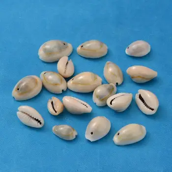 

500g Dyed Spiral Shell Beads for Jewelry Making DIY Size: about 13~16mm long, 10~11mm wide, 3~5mm thick, hole: 2mm, about 800pcs