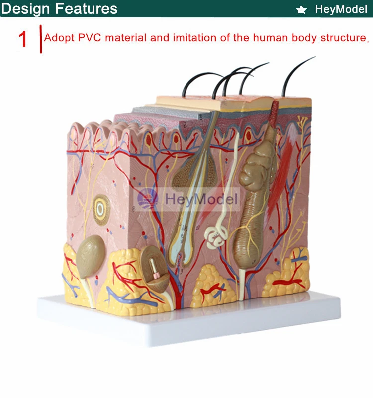 1.PVC_