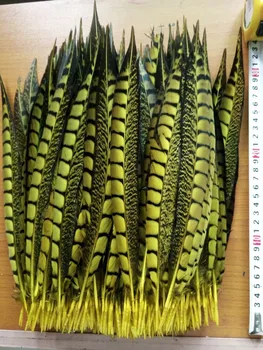 

wholesale high quality yellow 50pcs Lady Amherst Pheasant feathers, 12-14 "/ 30-35cm diy jewelry decorative props