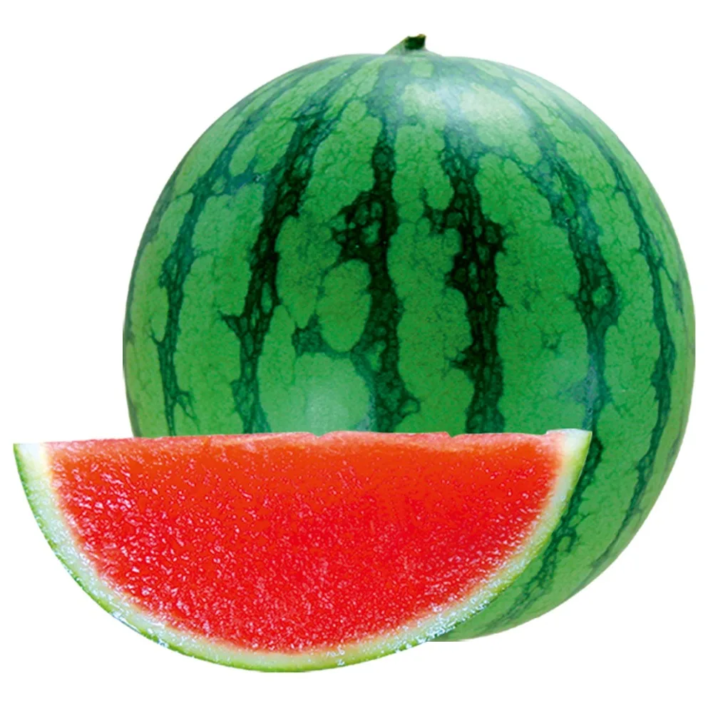 Buy Marseed 10 pcs Seedless Watermelon