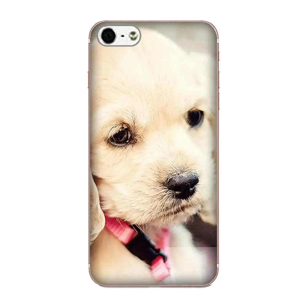 Cocker Spaniels щенки собаки прозрачный мягкий чехол для Apple iPhone X XS Max XR 4 4S 5 5C 5S SE 6 6S 7 8